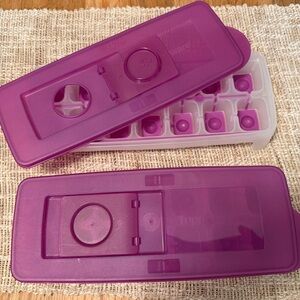 Tupperware Raspberry Ice Cube Tray Set